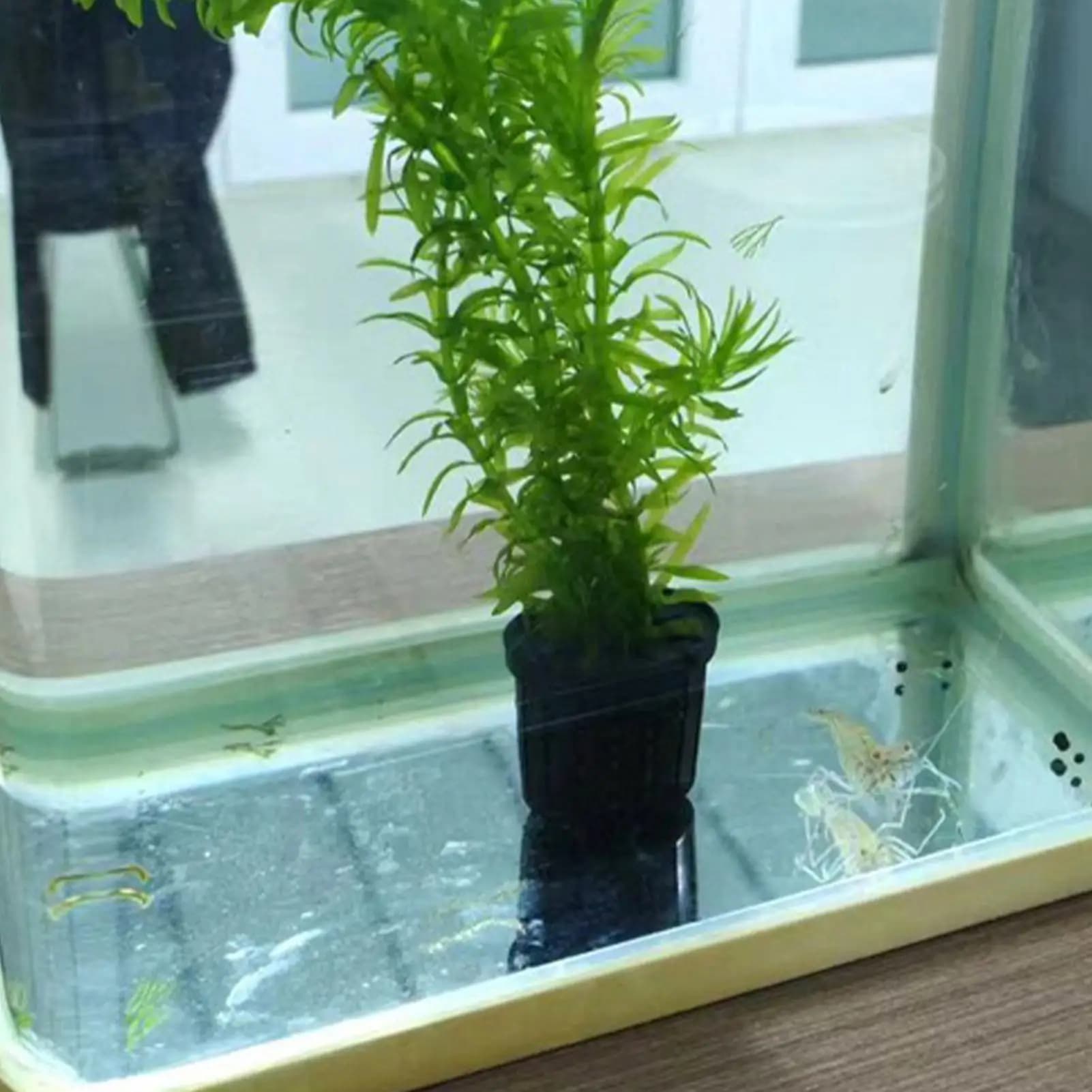 4 Pieces Hydroponic Plant Basket Set Aquarium planter pot Fish Tank Plant Holder Suction Cups for aquariums home fish tanks