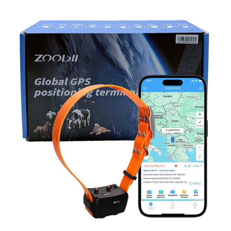 Collare di localizzazione per cani GPS speciale WiFi impermeabile 1 anno di garanzia GPRS GSM LBS AGPS Tecnologia PC App Android Track storica