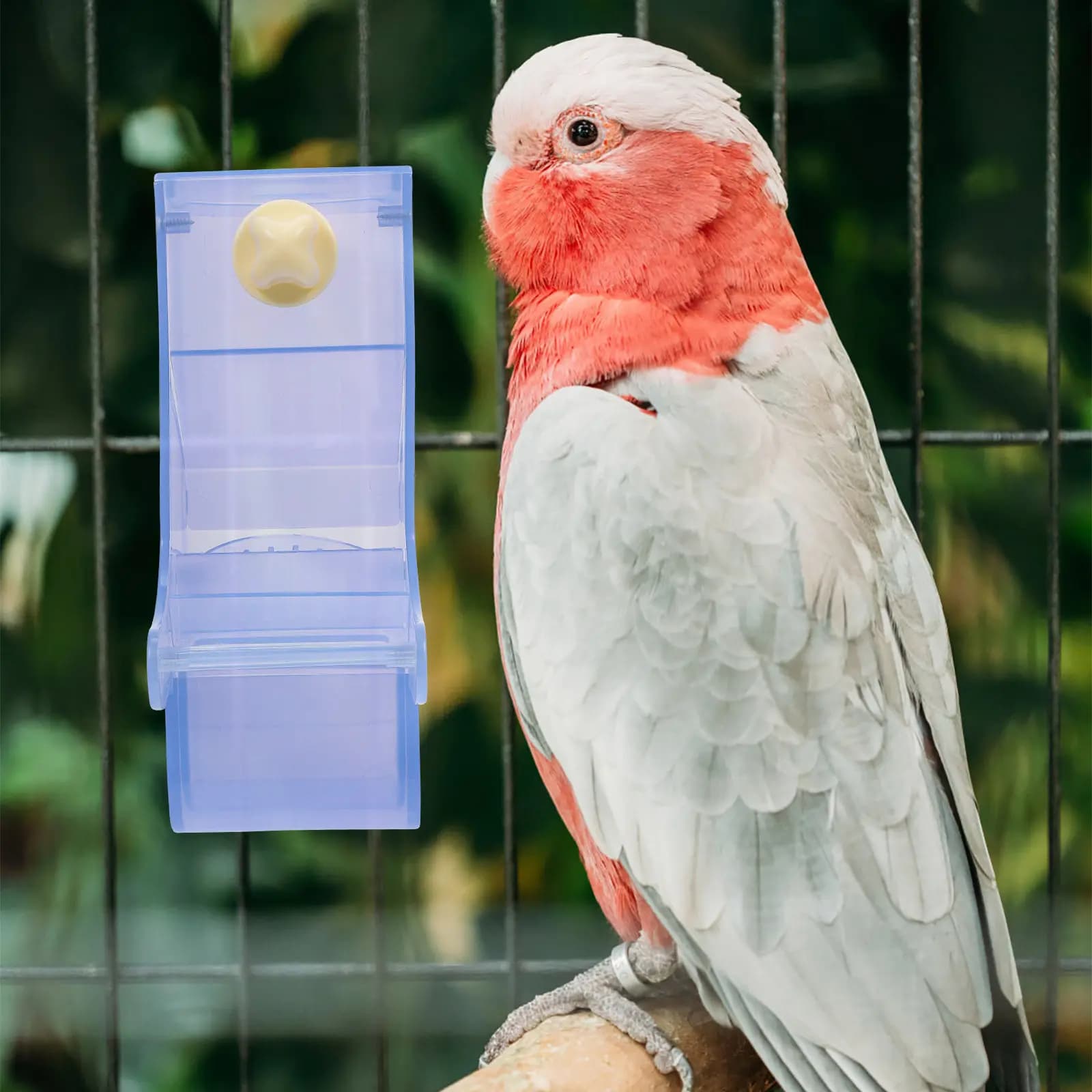 Contenitore per Cibo per Pappagalli, Ciotola Antirovesciamento Resistente all'Usura per Gabbie di Uccelli, Accessori per l'Alimentazione