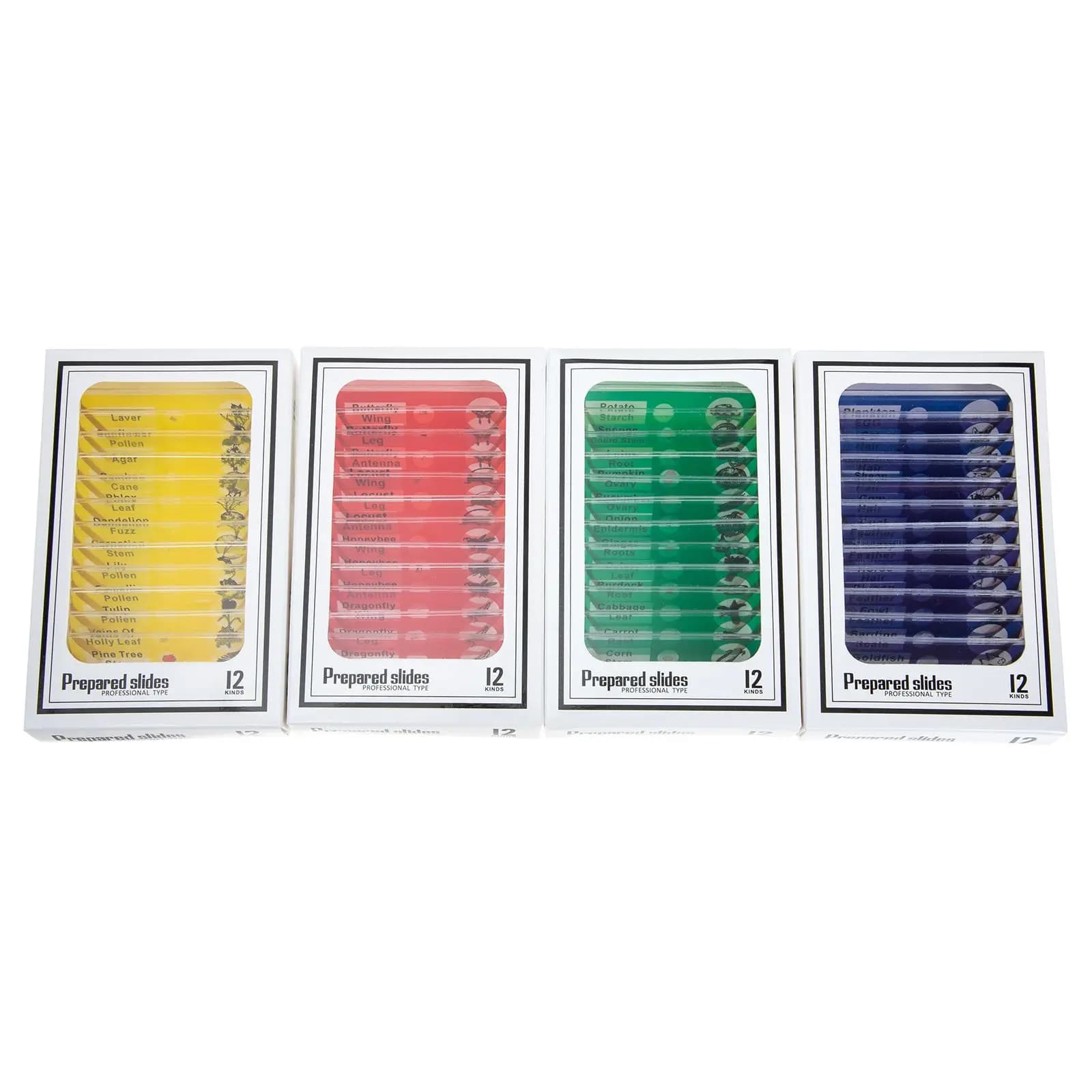 Kit di vetrini per microscopio da 48 pezzi Etichette inglesi per bambini Studenti Scienza Educazione Campioni biologici Campioni trasparenti in plastica ABS