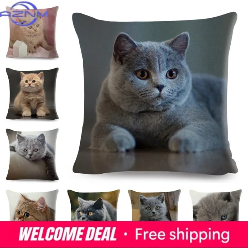 Fodera per cuscino British Shorthair Russian Blue, decorazione simpatica con gatto, animale domestico, federa in poliestere per divano, casa, auto