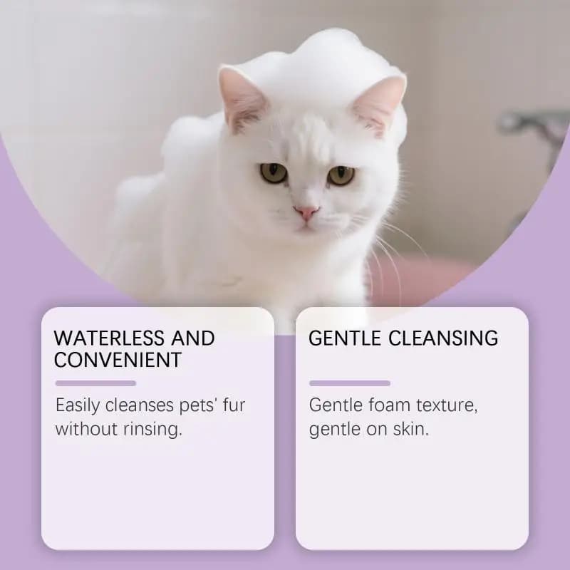 EelJoy Detergente per Pelo Senza Risciacquo, Deodorante, Schiuma per Toelettatura, Shampoo Mousse per Cani e Gatti