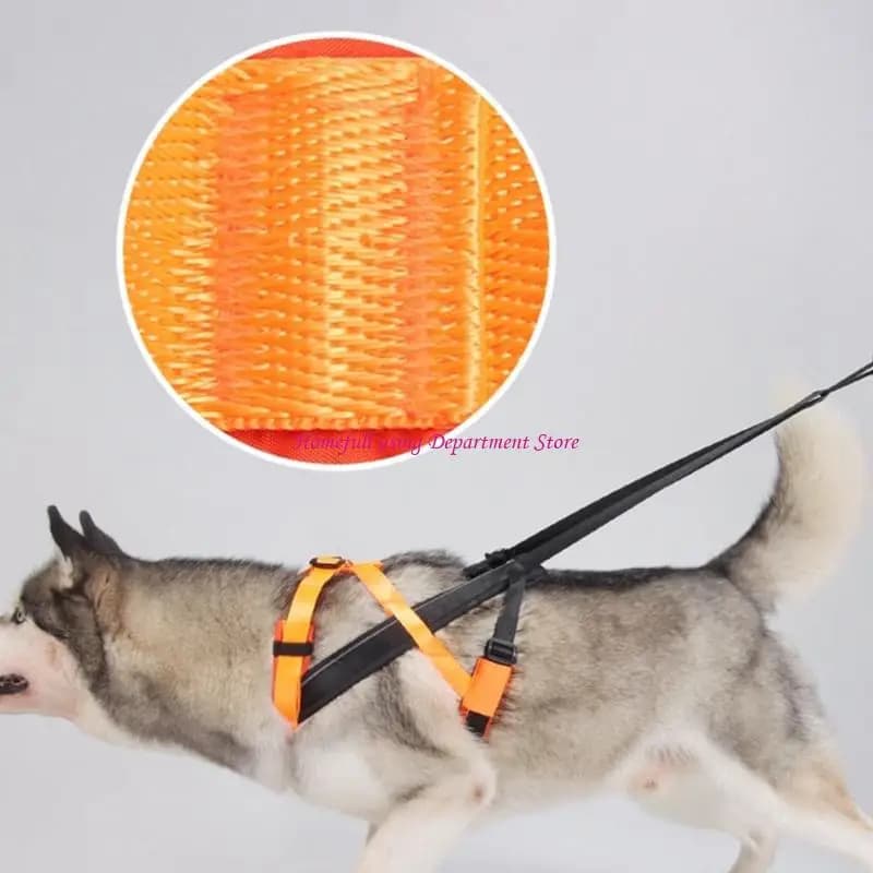 Imbracatura per slitte trainate da cani Imbracatura per slitte per cani Canicross Scooter