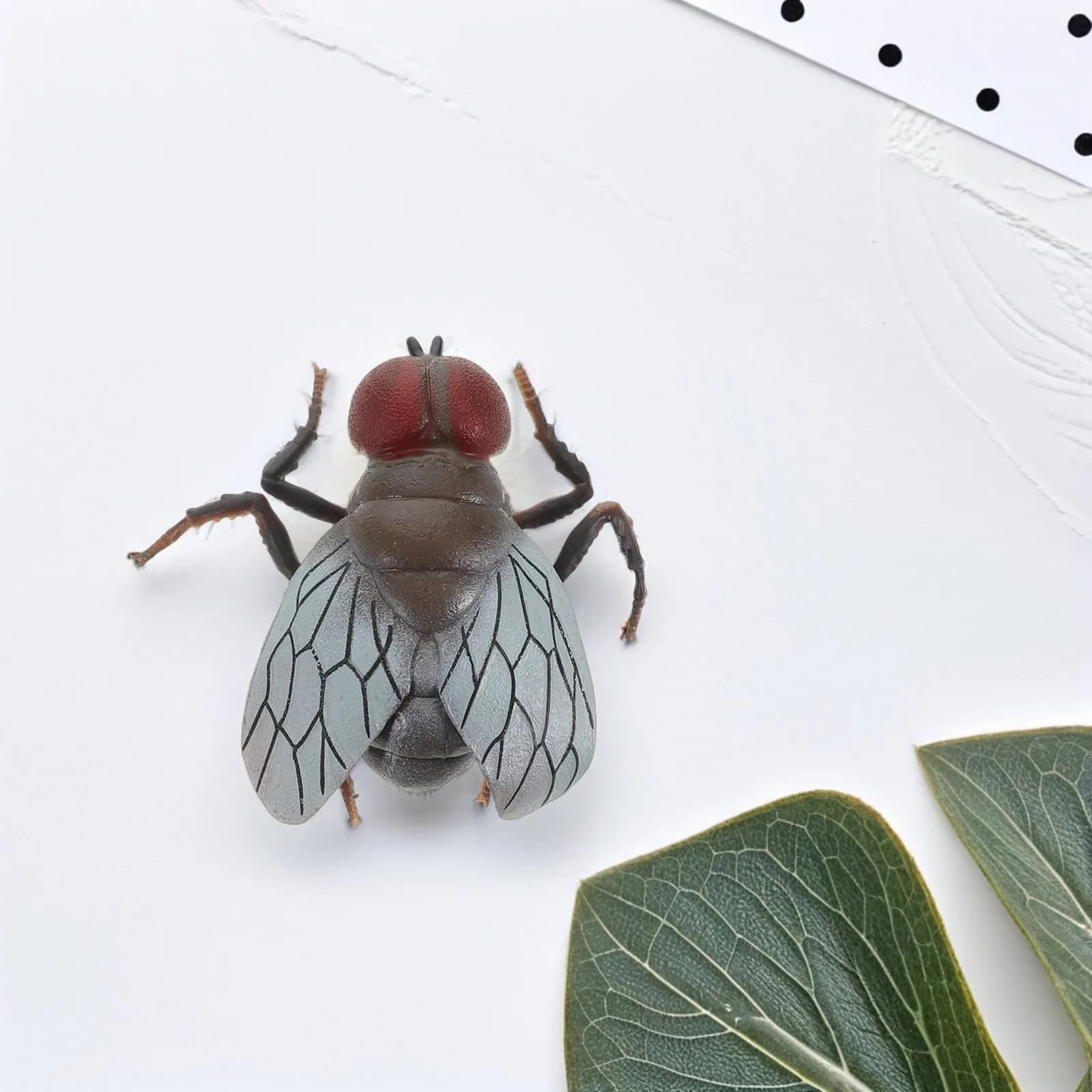 Large Realistic Plastic Fly for Pranks Learning Insect Education Holiday Decor Classroom Desk Ornament Simulation Bug Party