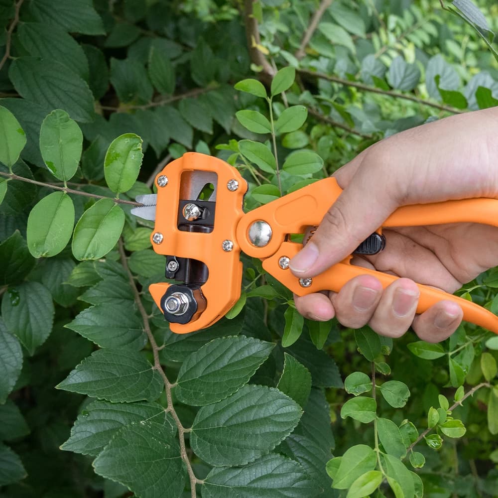 Professional Garden Grating Tool Kit Agricultural Shears Set 2 in 1 Fruit Tree Shears Kit Durable Grating Knives Kit