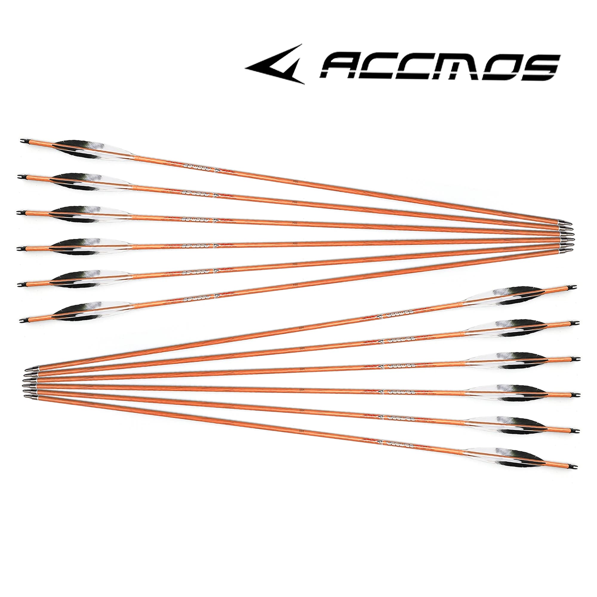 Freccia in carbonio con piuma di tacchino bianca e nera, arco ricurvo, caccia al tiro, pelle di legno, colonna vertebrale 400, 500, 600, 700, 3 pollici, 6 pezzi