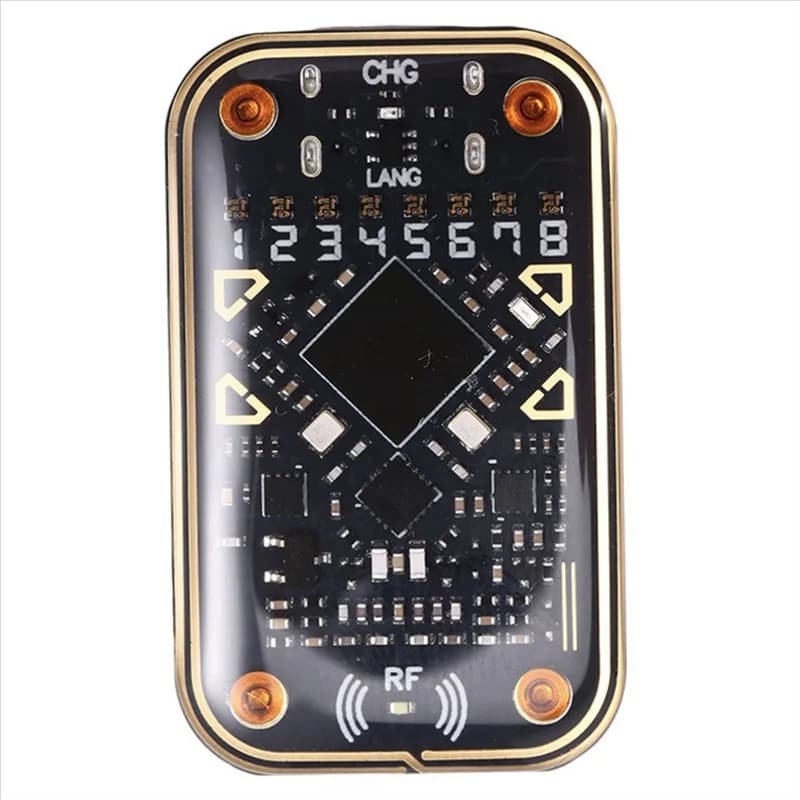 Emulatore di smart card per lettore di chip RFID Chameleon Ultra V2.0 + 5200 Portachiavi 125Khz 13,56Mhz Decodifica scheda Duplicatore NFC