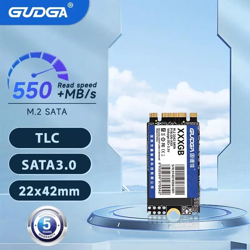 GUDGA M2 SATA 2242 SSD SATA3 128GB 256GB 512GB NGFF Unità a Stato Solido Interne TLC per Laptop Desktop Thinkpad
