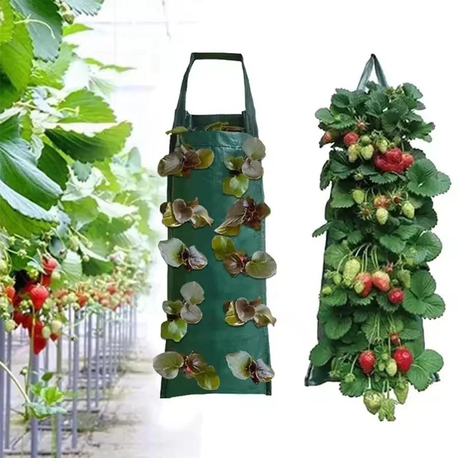 Suspended Jars for Strawberries and Flowers, Vertical Planters for Garden, Vegetable Planting Jars, Interior and Exterior Garden Accessories