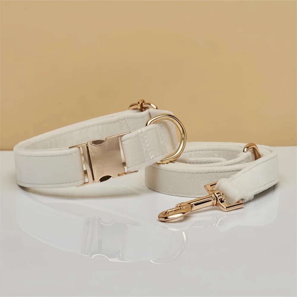 Customized Velvet Dog Collar & Leash Set with Engravable Metal Buckle - Personalized Pet Collar Comfortable Pet Accessories