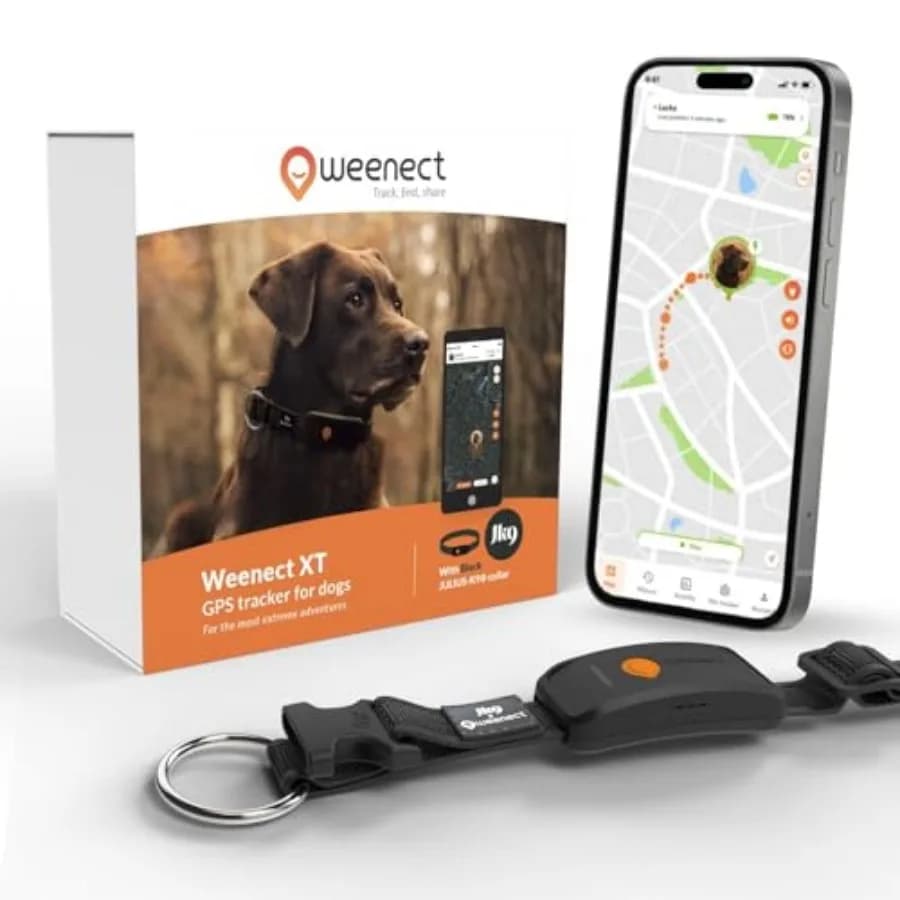 Collare GPS Dog XT - NUOVO Collare per Cani XL con Antenna Impermeabile Ultra-Resistente Integrato Julius-K9, Abbonamento Richiesto