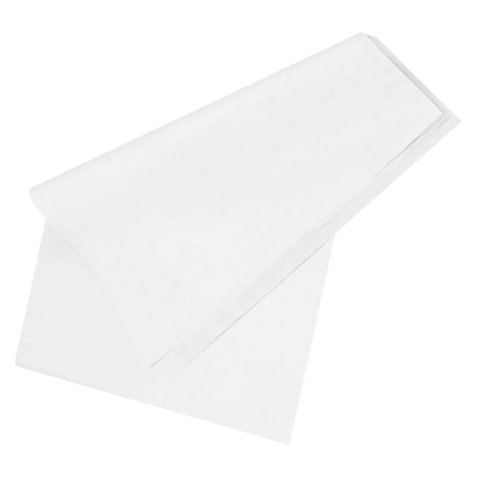 30 Fogli di Carta Sheng Xuan Grezza Non Patinata, Ideale per Principianti di Calligrafia e Pittura, Pratica di Assorbimento e Diffusione dell'Acqua
