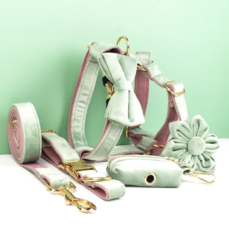Set Collare e Guinzaglio per Cani in Velluto Verde Menta con Base Rossa, Targhetta Personalizzata Incisa, Accessori per Animali Domestici, Guinzaglio in Velluto 17-2