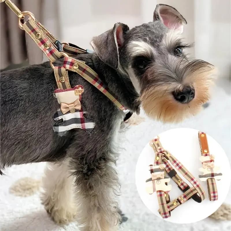 2 pz/set Pet Vest Collare Bello, Pettorina Per Cani Guinzaglio Gatto Stile Britannico Imbracatura Accessori Per Cani, Teddy Chihuahua Animali Domestici Forniture