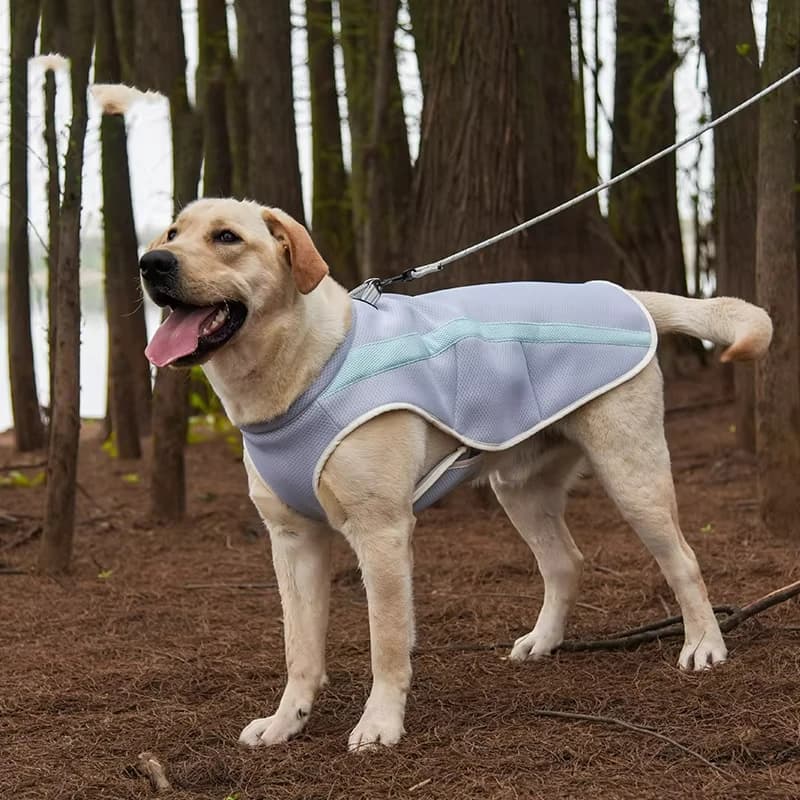 French Bulldog Pet Cooling Vest for Small Medium Dogs Summer Dog Clothes Harness Schnauzer Shiba Inu Jacket mascotas Clothing
