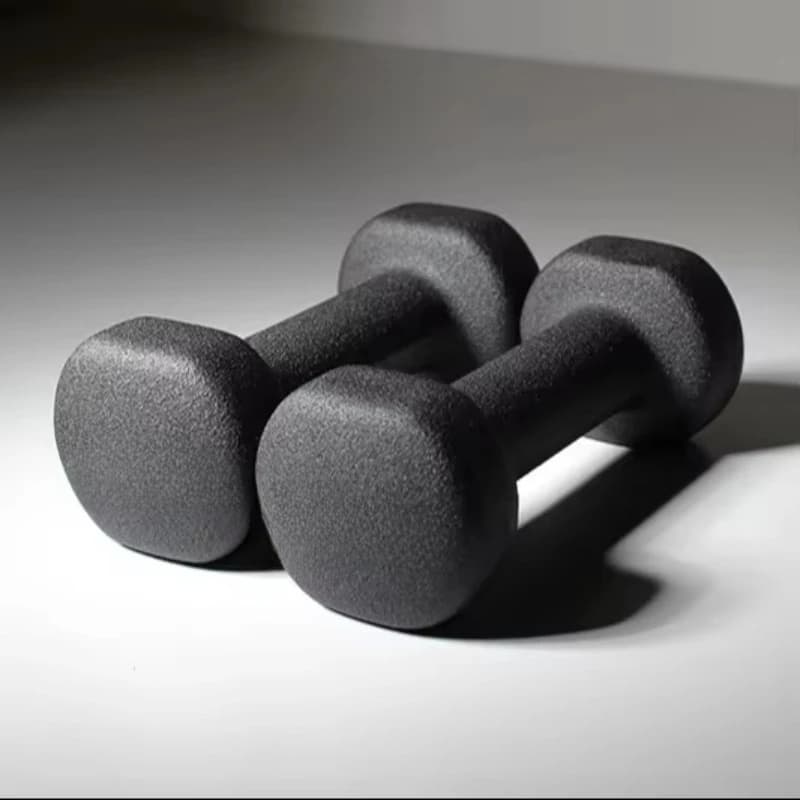 Customized Portable Iron Dumbbell Set for Home Gym Fitness Training & Dip Workout Body Building Supply