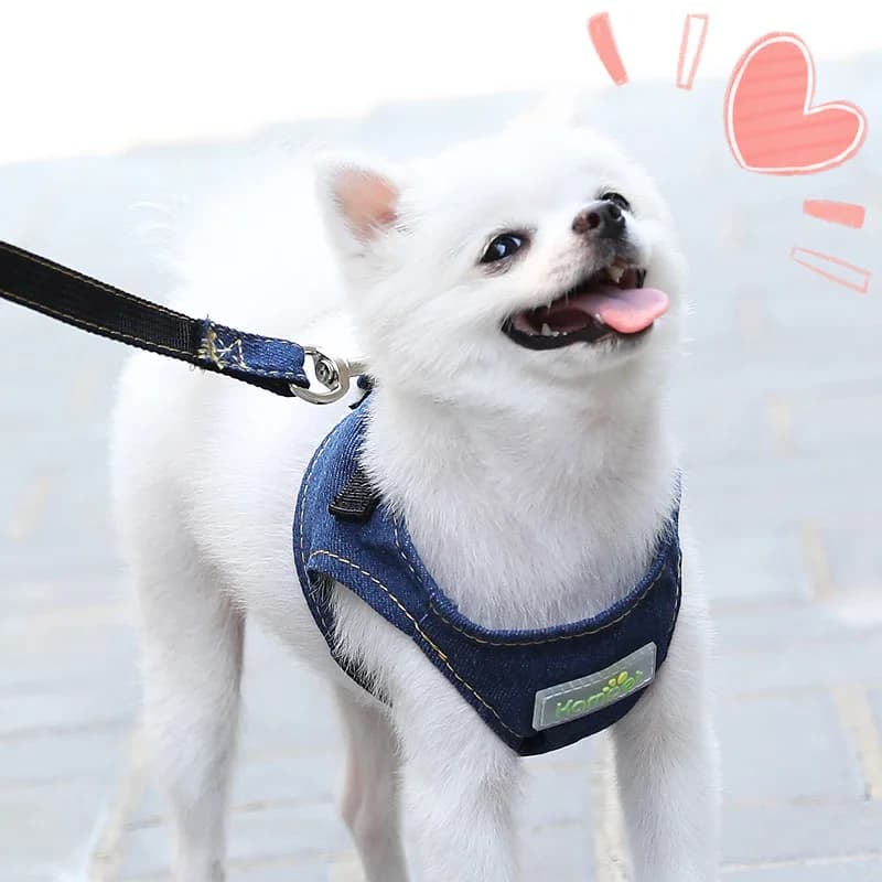 Dog Harness and Leash Sets Adjustable Dog Harness for Small Dog Leash Breashable Pet Harness Out Walking Dog Strap Cat Accessory
