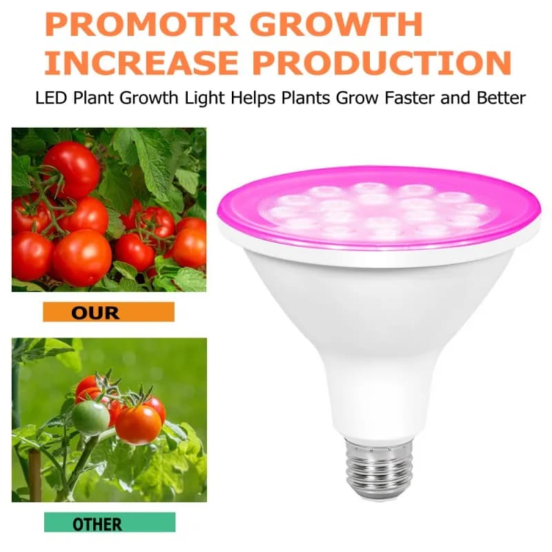 Led Grow Lamp 10W 15W 20W Ndoor Led Lamp