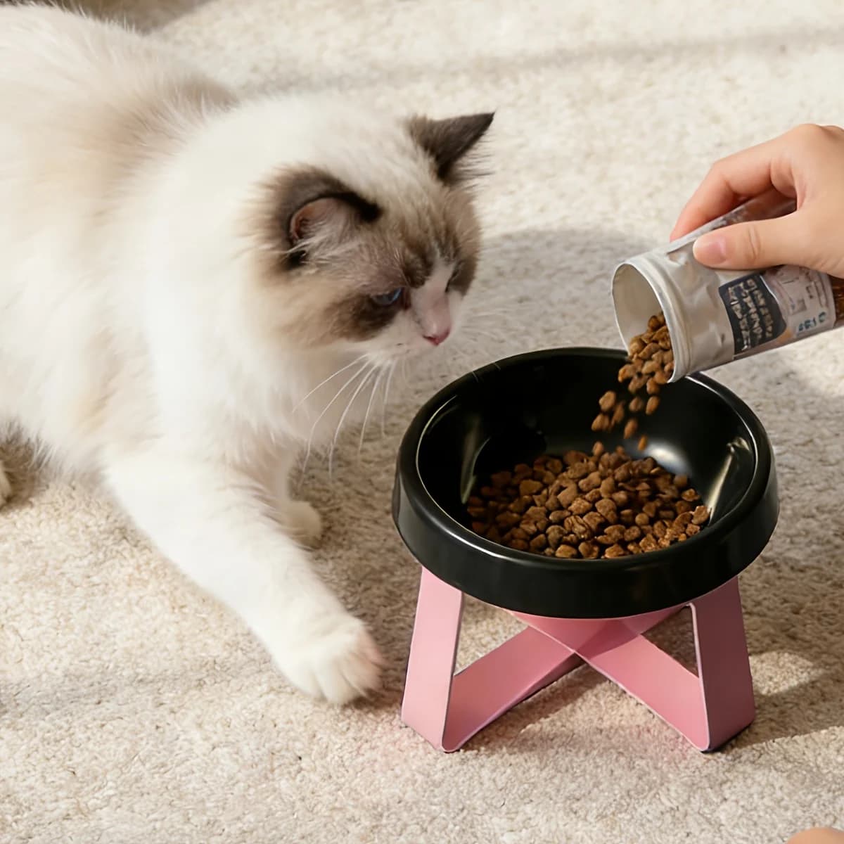 Ciotola Rialzata Antiscivolo per Animali Domestici, Base Larga, Materiale Plastico Resistente, Adatta per Gatti e Cani di Piccola Taglia