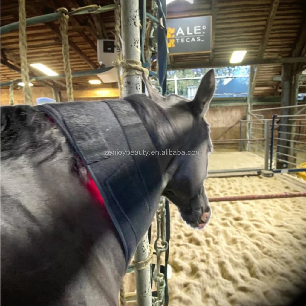 2026 OEM ODM Infrared Light Therapy Mat 660nm 850nm Red LED Heating Pad Horse Care Products Blanket for Neck Belly