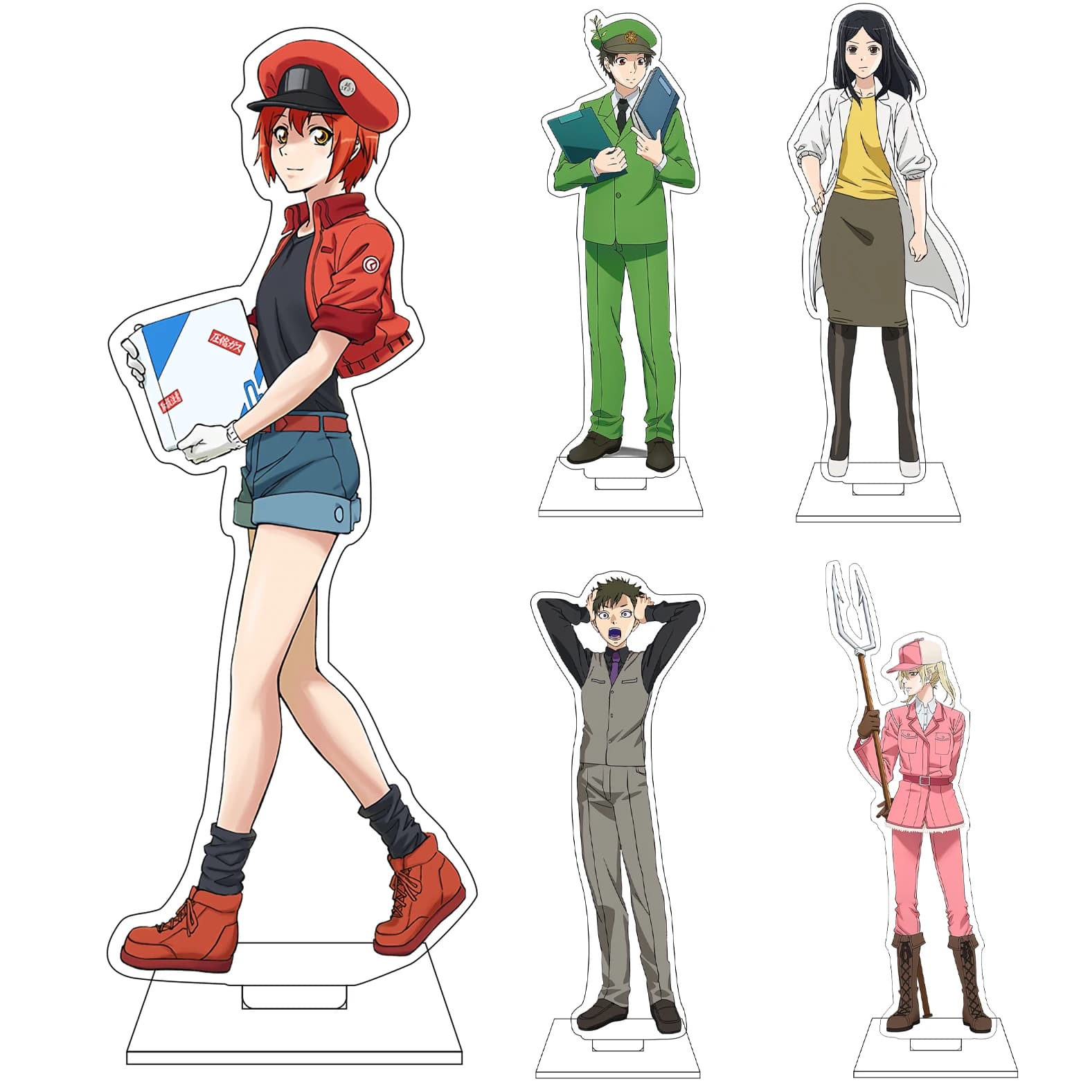 Anime Cells at Work! 16CM Espositore in Acrilico per Cosplay a Forma di Piastrina, Macrofago, Cellula del Sangue Bianco, Cellula del Sangue Rosso - Ornamento Regalo