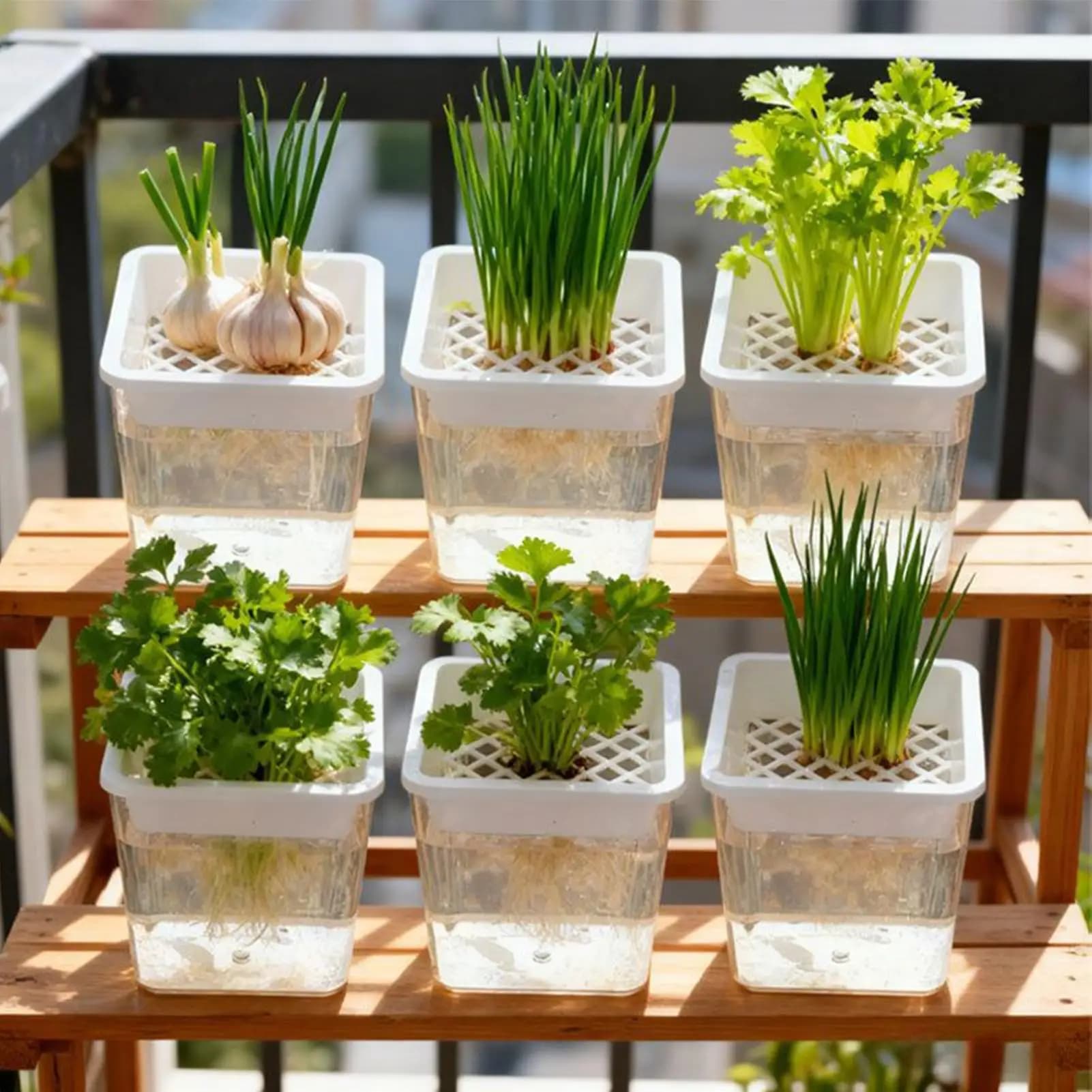 Layered plants vases without soil, hydroponic containers for semi-hydroponic, grafts, seedlings, African violet, balcony, desk