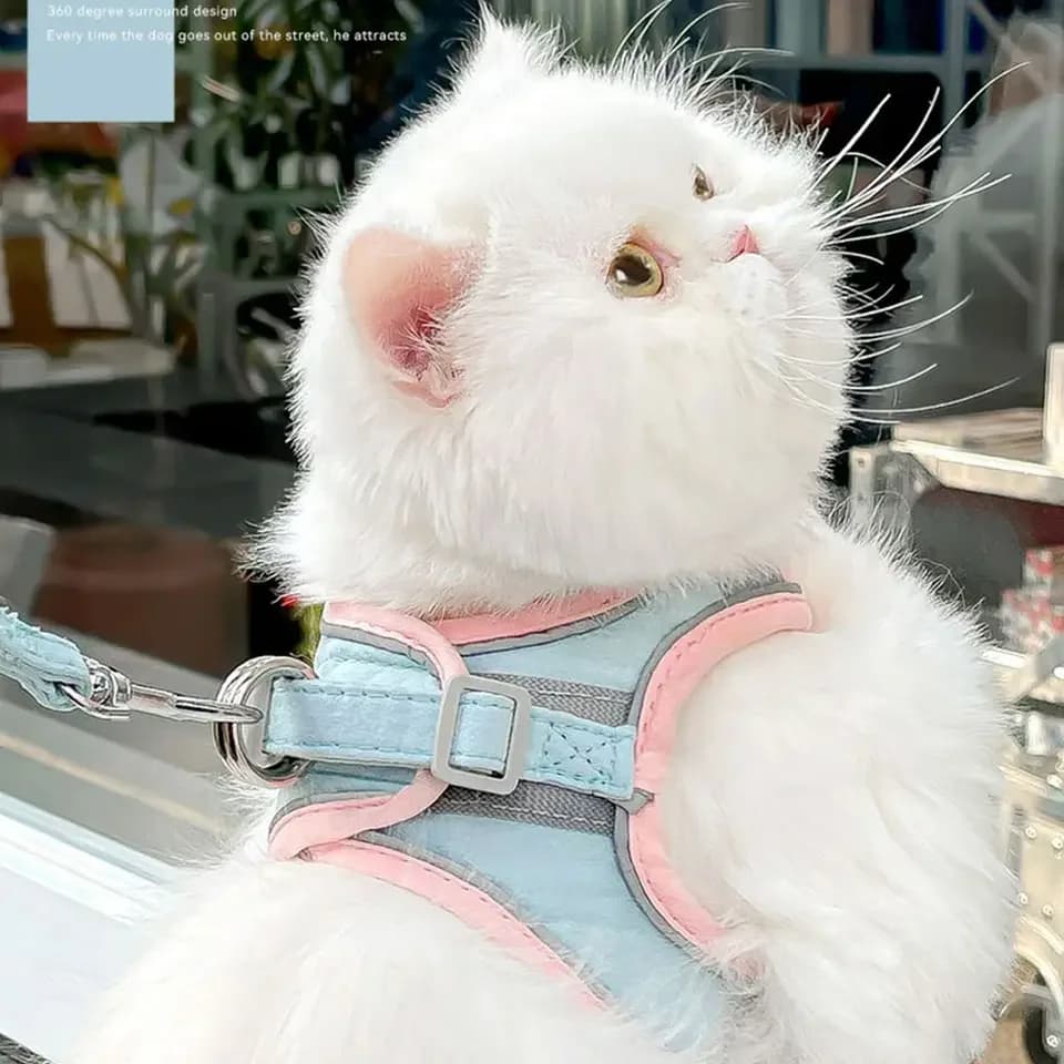 Pettorina per Gatti e Cani Fosforescente con Guinzaglio, Regolabile, in Rete di Poliestere Traspirante, Riflettente, Accessori per Gatti 15