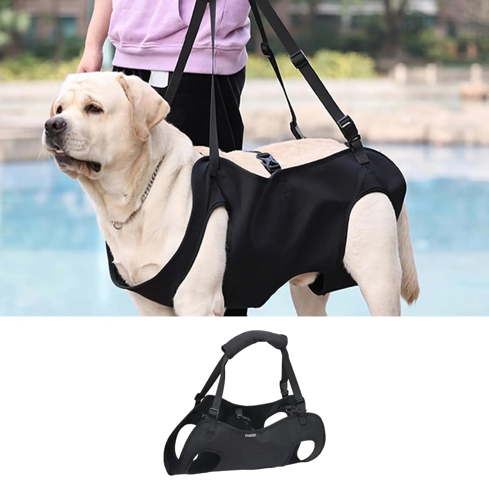Imbracatura di supporto per cani, gilet di sollevamento per la riabilitazione di cuccioli, con maniglia e cinghie regolabili per lesioni articolari e cani anziani