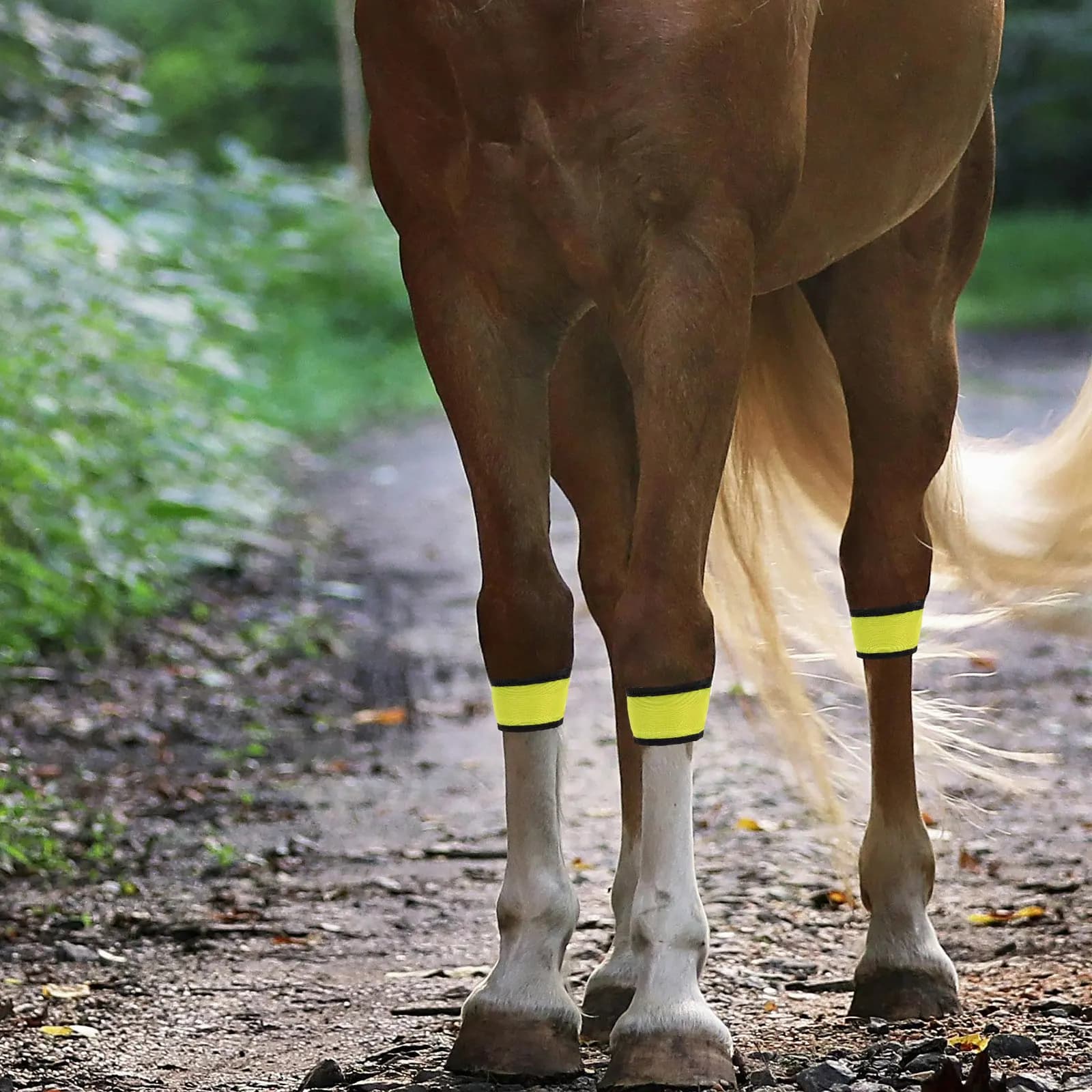 Set di 4 Scaldacaviglie per Cavalli, Attrezzatura di Sicurezza Equestre, Braccialetti Luminosi per Ciclismo, Cinturini LED Luminosi per Caviglie