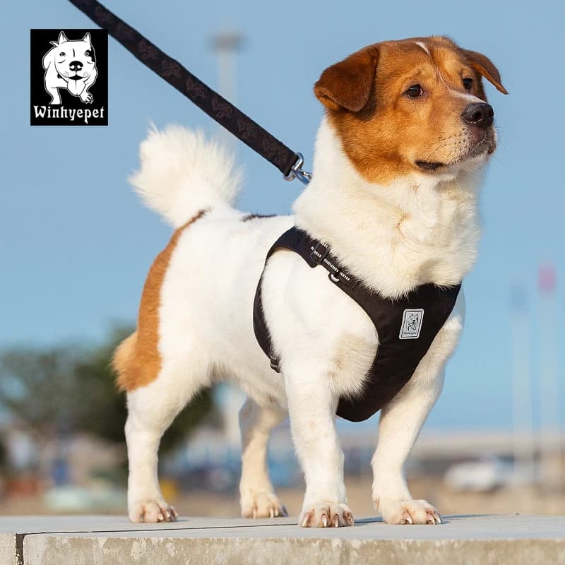 Winhyepet Pettorina per Cani Regolabile, Gilet Anti-Trazione Leggero, Imbottitura Comfort per Viaggi, Accessori per Cani per Bulldog, Cuccioli