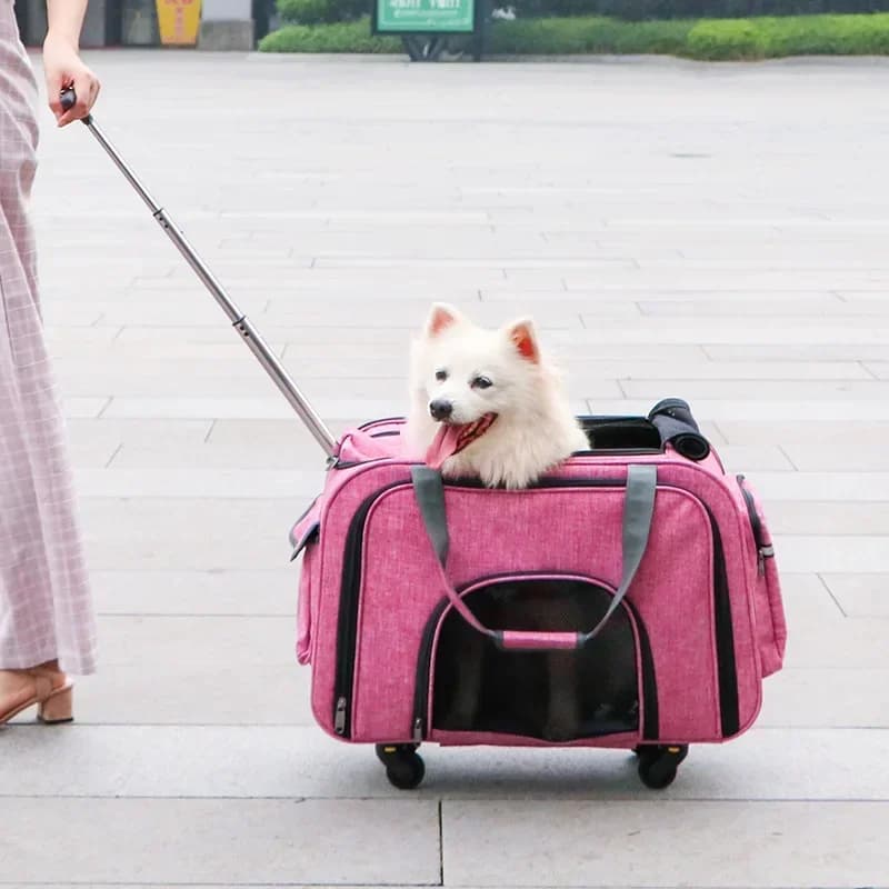 Borsa pieghevole per carrello per gatti con estensione rotolante con ruote Trasportino per cani da compagnia su ruote