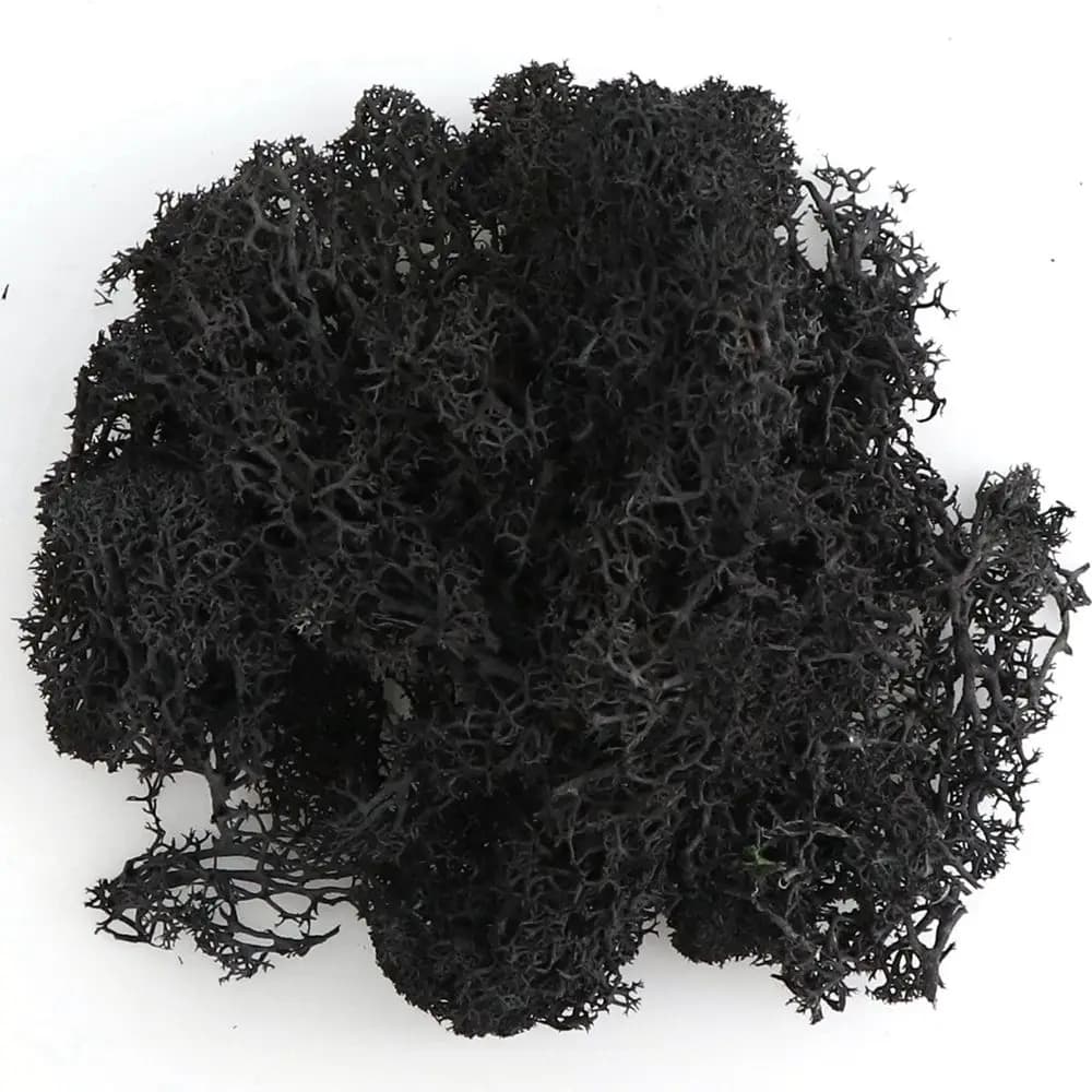 Crafts Grass Fake Flowers Living Room Home Ornaments Mini Landscape Eternal Moss Artificial Plants Moss Garden Decoration