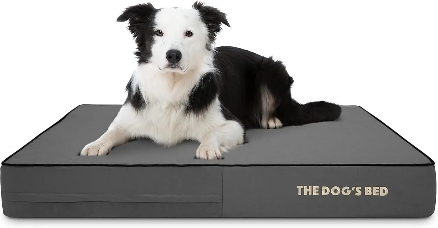 Letto Ortopedico per Cani in Memory Foam, Materasso per Cani, Tessuto Oxford, Grigio con Bordi Neri, Grande, 6 Pollici