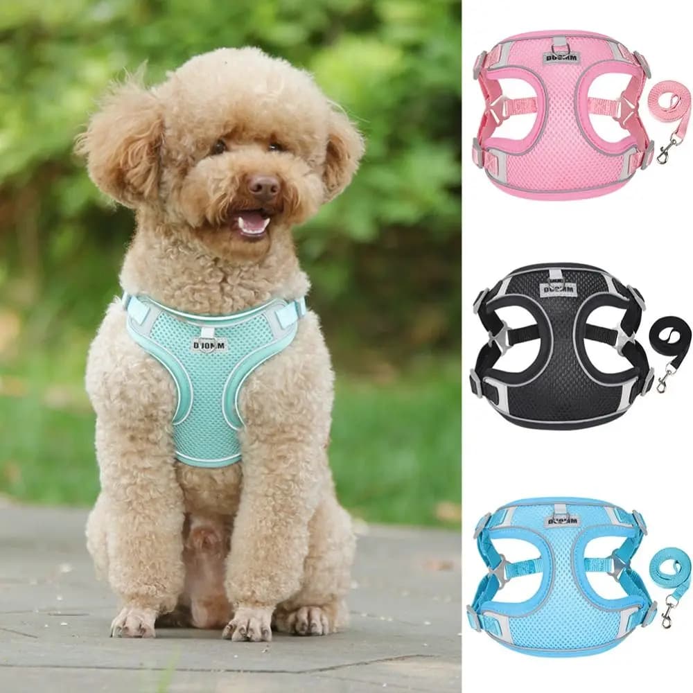 Breathable Mesh Dog Harness and Leash Set Lightweight Reflective Strips Breathable Mesh Dog Harness Adjustable Straps Quick Dry
