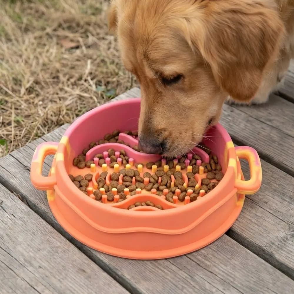 Ciotola Portatile in Silicone per Cani con Doppio Manico Antiscivolo, Anti-Ribaltamento e Anti-Soffocamento, per Viaggi