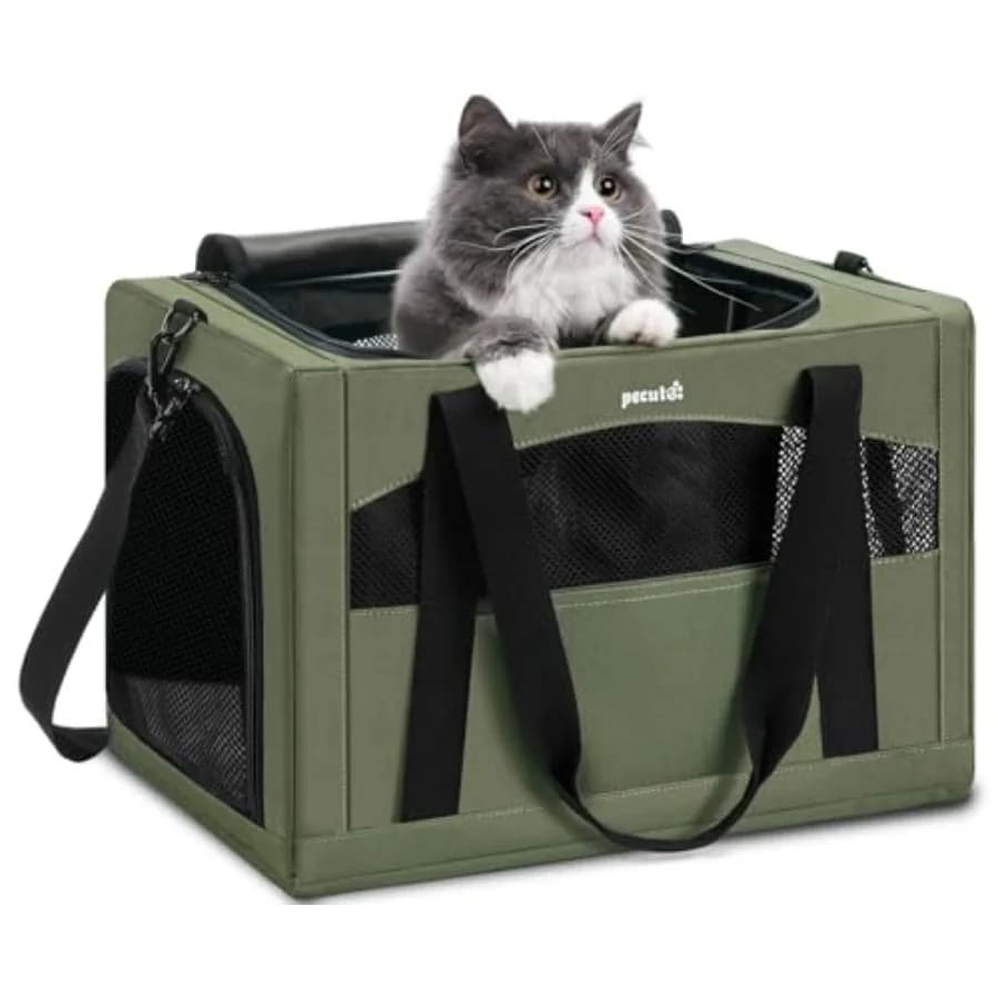 Trasportino Morbido Verde per Gatti con Divisorio Nascosto Antistress, Telaio in Acciaio Stabile per Viaggi in Auto, Trasportino Sicuro per Cani e Gatti