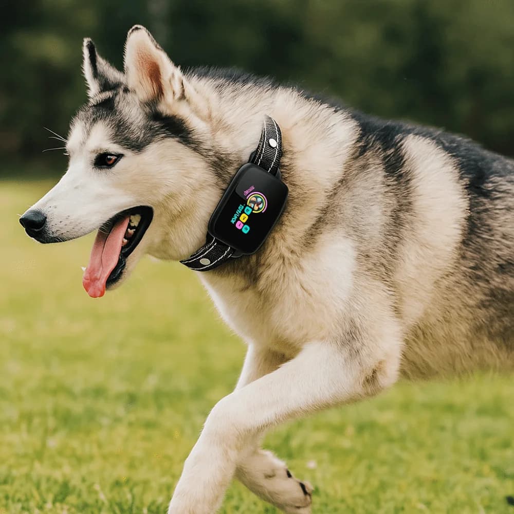 Collare Intelligente Antiabbaio per Cani con Schermo a Colori Ricaricabile USB-C, Funzioni di Scossa, Impermeabile