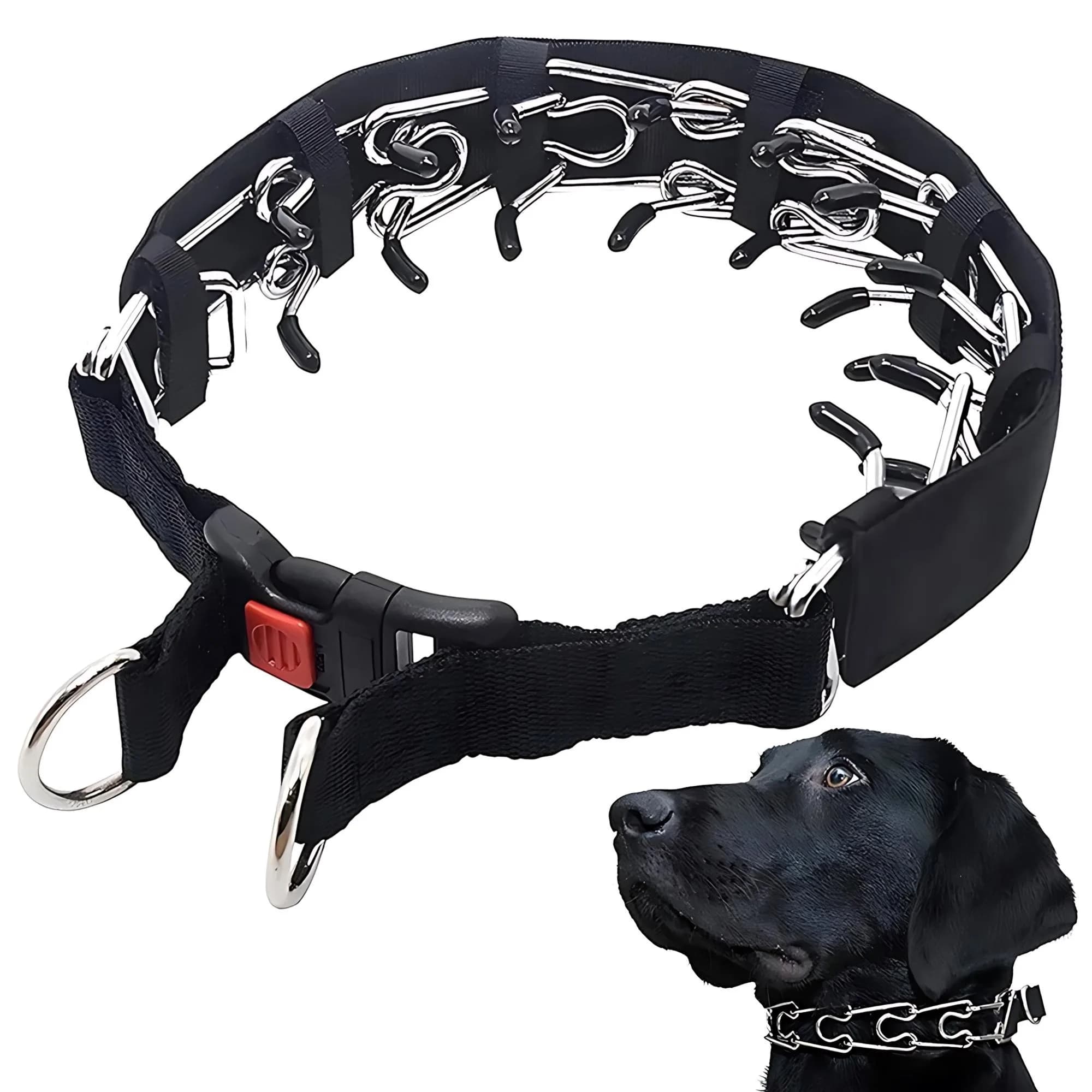 Collare da addestramento per cani - Collare antischio con punte comfort in gomma, fibbia a scatto a sgancio rapido