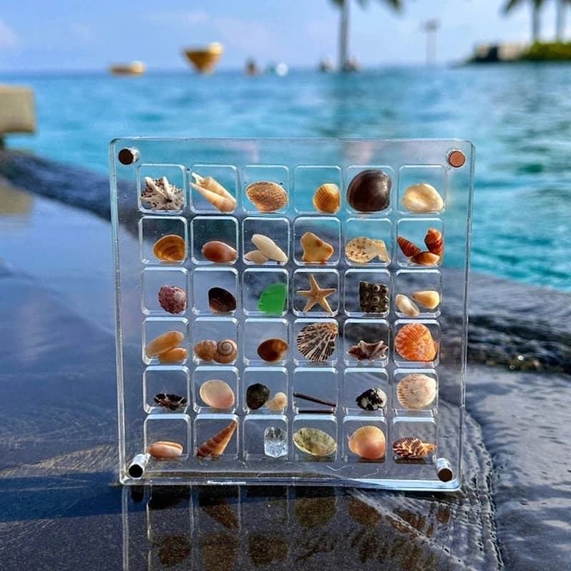 Acrylic Magnetic Seashell Display Box 36 Grid Transparent Display Box Mini Shell Storage Decorative Box Decorative Accessories