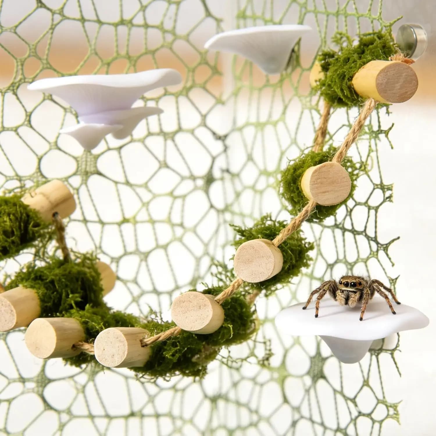 6Pcs Jumping Spider Climbing Accessories Set, 1 Wooden Rope Bridge, 3 Mushroom Platform, 2 Climbing Net Decoration