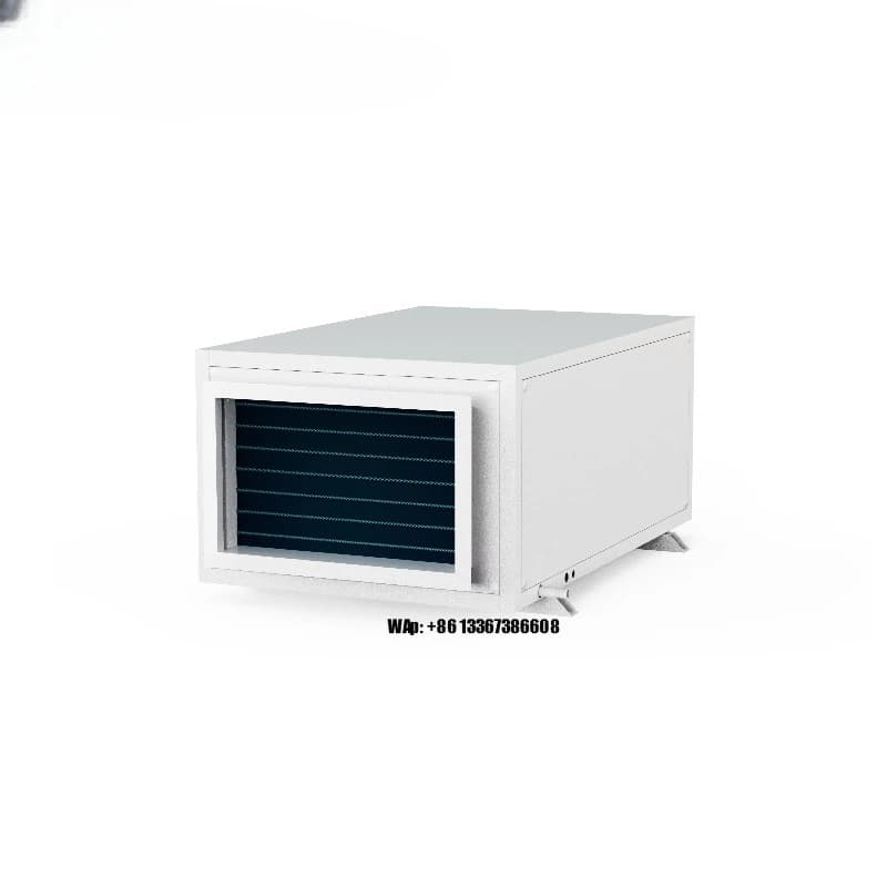 Deumidificatore Commerciale Industriale 220V da 3,75 kg/h per Serra, Nuovo Modello, in Offerta Speciale