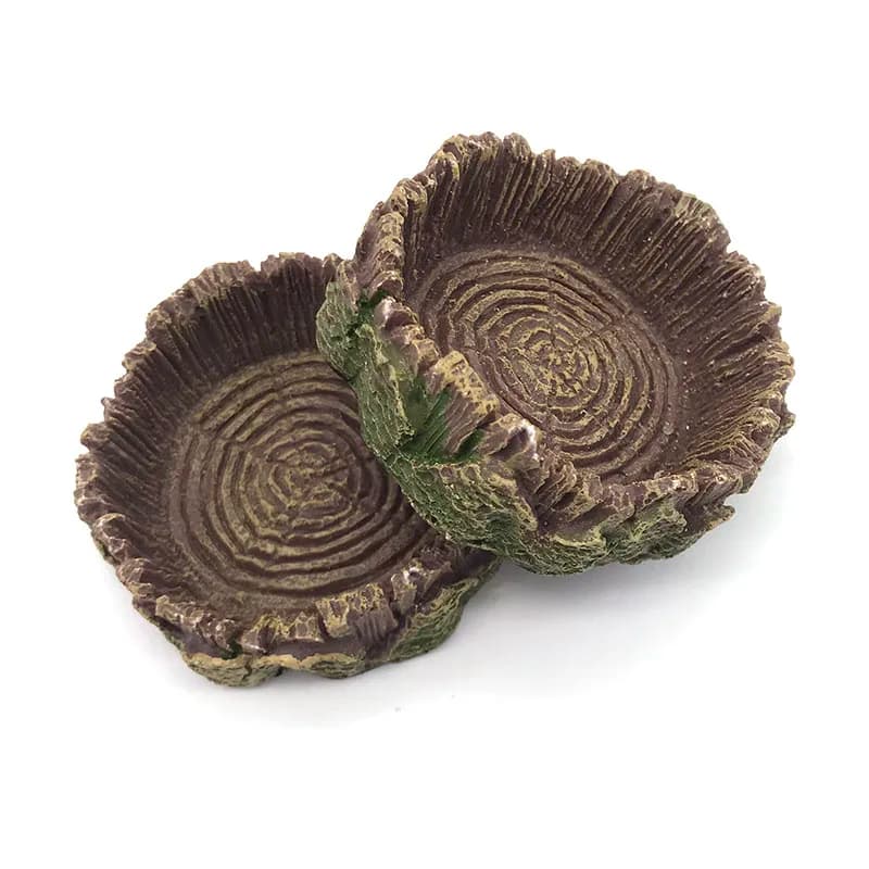 7cm resina acquario Pet rettile alimentatore ciotola cibo vaso d'acqua rettile tartaruga scorpione lucertola granchi forniture decor