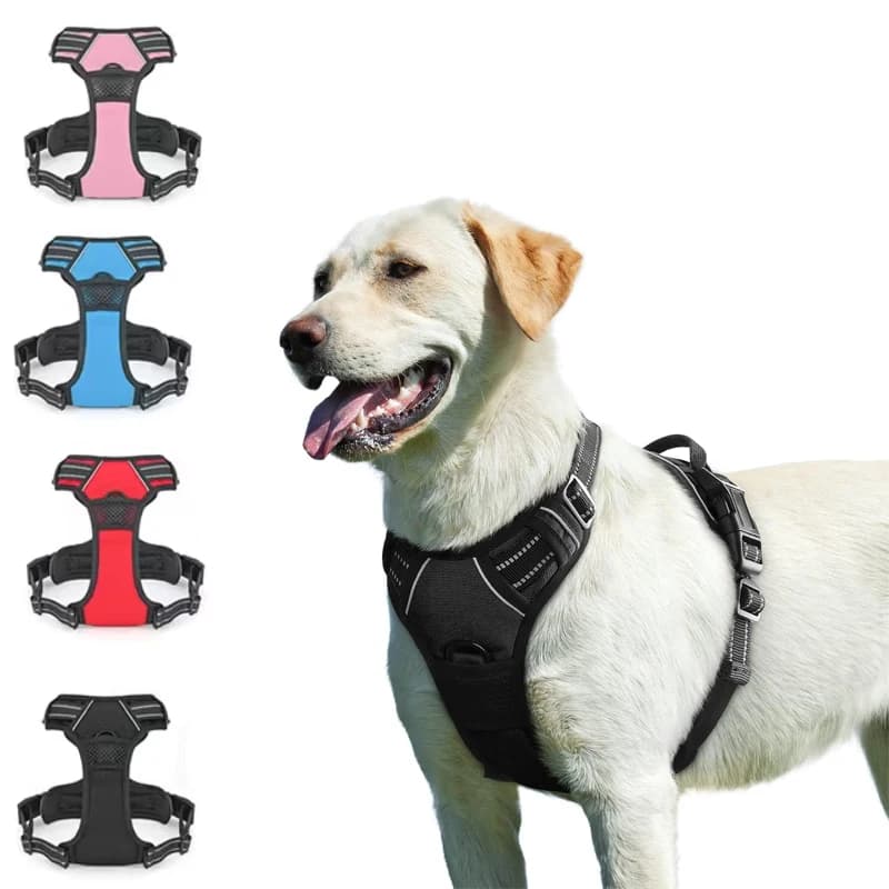 Pettorina per cani anti-trazione con 2 clip per guinzaglio, imbottita morbida e regolabile, gilet per animali domestici in Oxford riflettente anti-soffocamento con maniglia per un facile controllo
