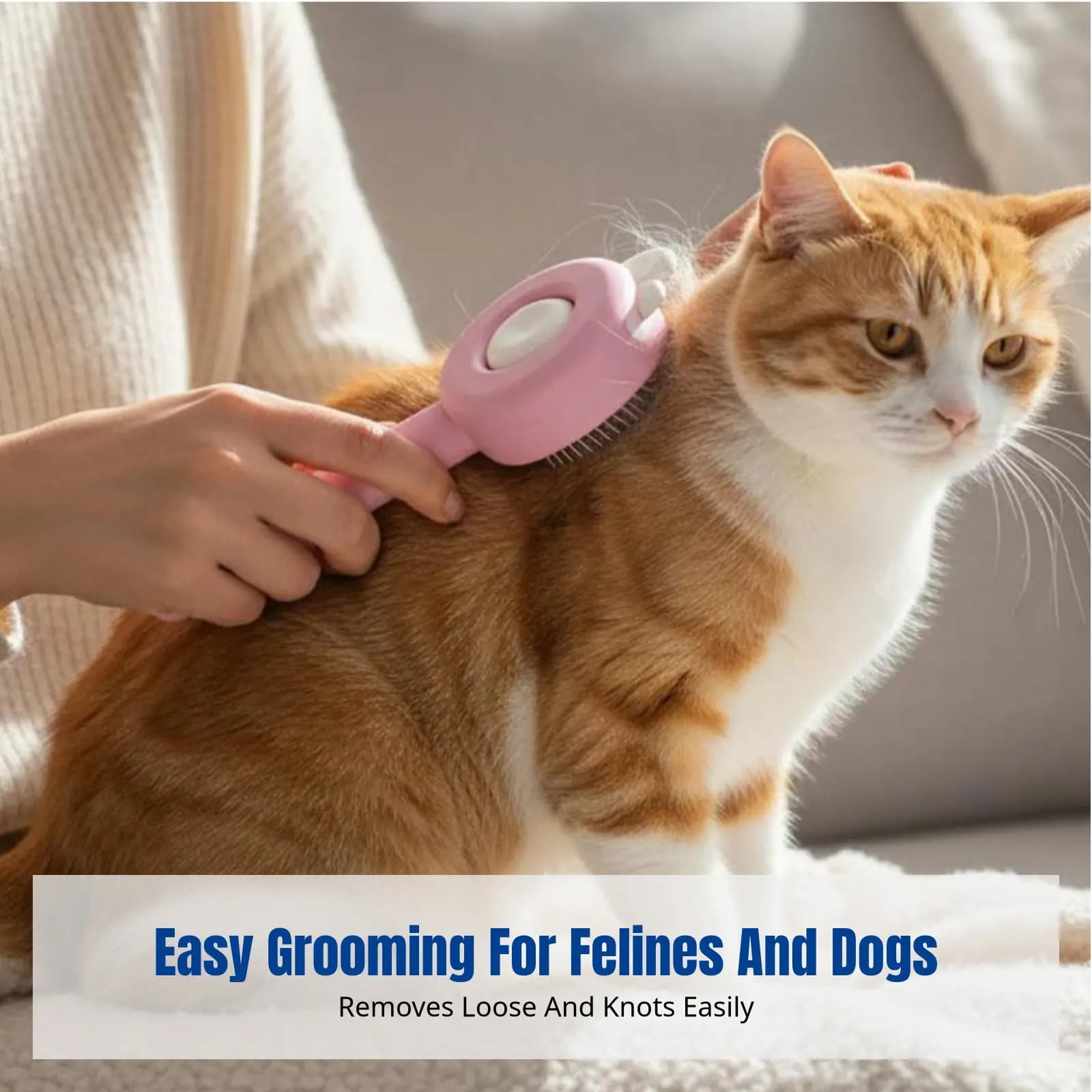 Pet Grooming Brush, Cat Hair Comb, Dog Hair Brush, Detangling, Hair Removal, Massage, Home Care