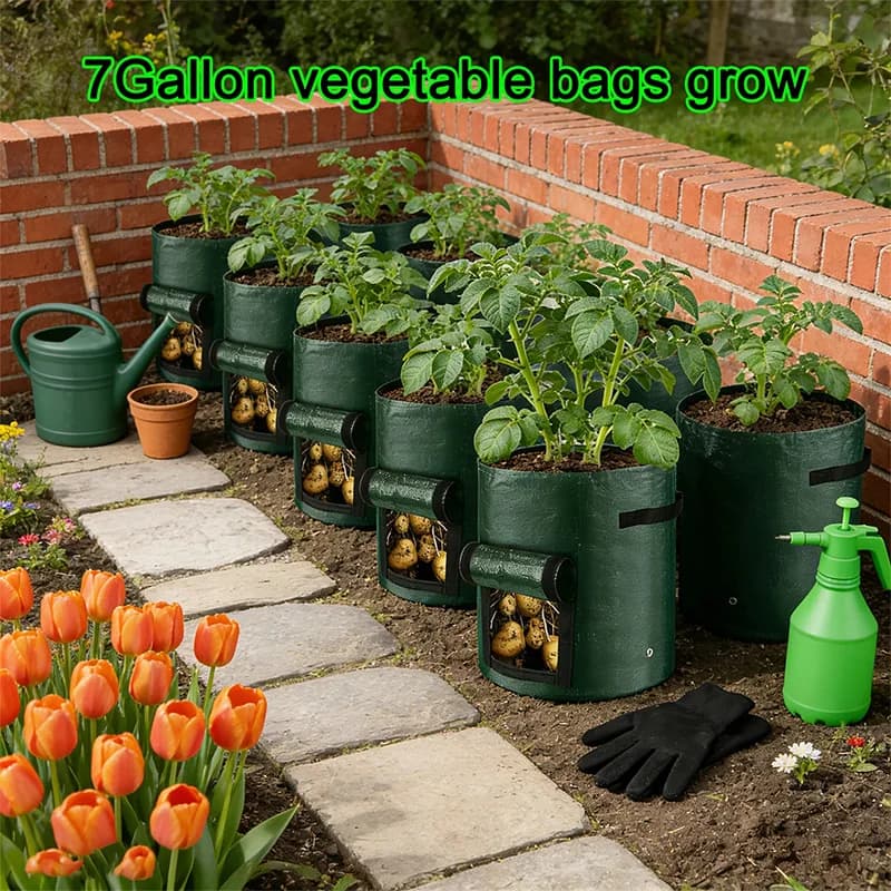 Potato plant bag in PE, round, dark green, breathable, pot for plants and flowers, bucket for growing vegetables, outdoor plant container for garden