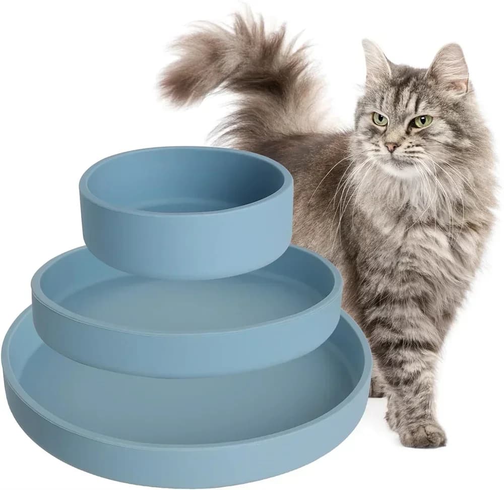 Ciotola per gatti Ciotola per acqua per alimentazione per gatti in silicone resistente alla caduta per cani Alimentatore per cani Contenitore per alimenti per separazione bagnata e asciutta