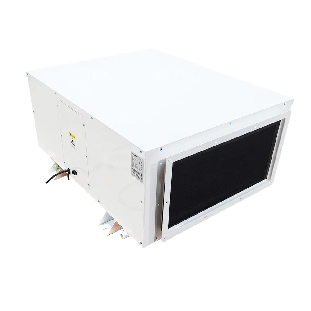 Deumidificatore da Soffitto 240 Litri/Giorno per Officina, Fabbrica, Sala Elettronica, Uso Farmaceutico 220V
