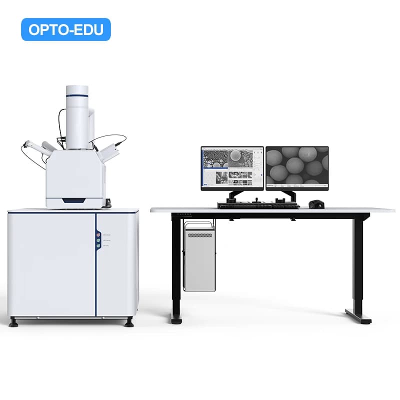 Microscopio elettronico a scansione OPTO-EDU A63.7032 SE 300000x SEM