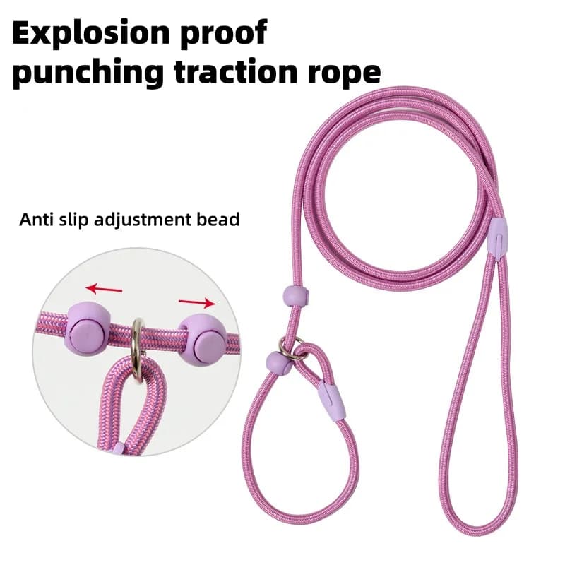 Adjustable No-Pull Dog Slip Lead Leash 160cm Nylon P-Chain Collar for Small to Medium Dogs Puppy Walking Training Pet Supplies