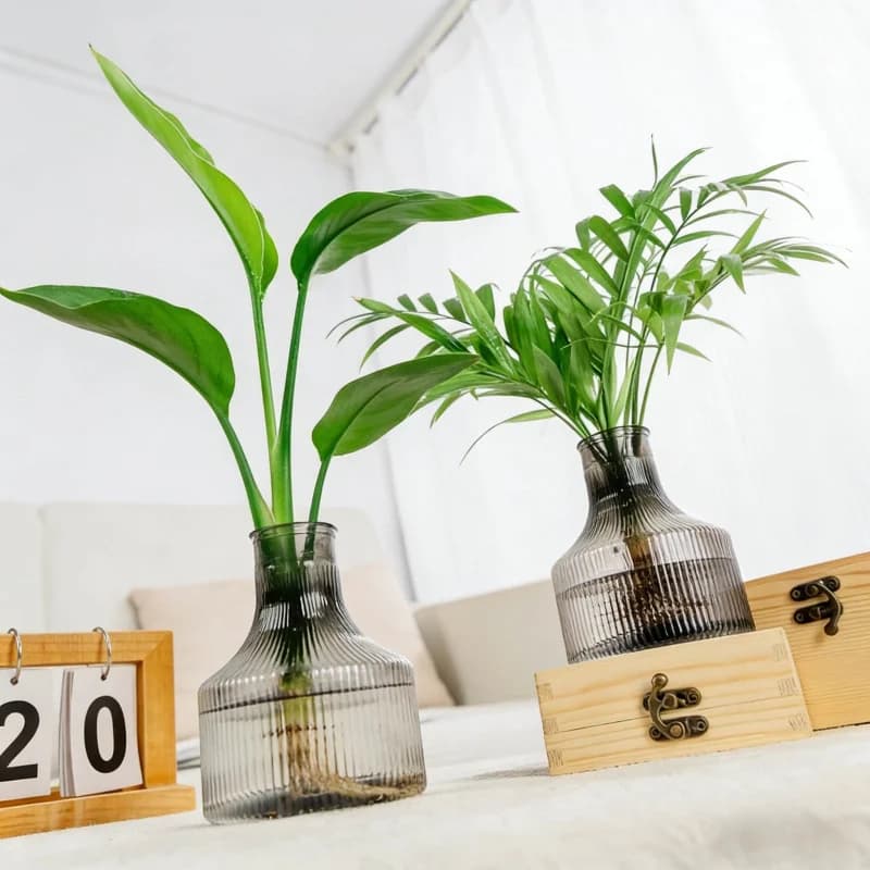 Resin transparent hydroponic vase, special flower pot for green plants, home decoration, light luxury style creative flower pot